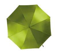Burnt Lime