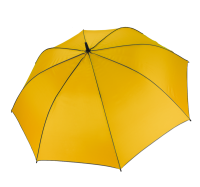 Yellow / Dark Grey