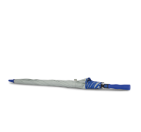 Storm Grey / Royal Blue