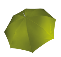 Burnt Lime